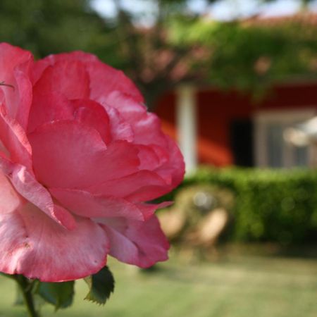 B&B Doremi Osimo Buitenkant foto