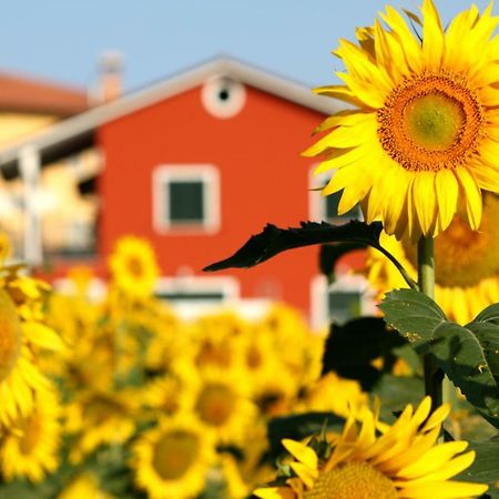 B&B Doremi Osimo Buitenkant foto