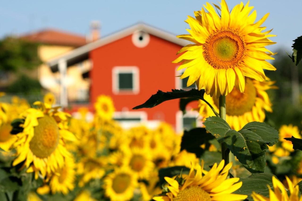 B&B Doremi Osimo Buitenkant foto